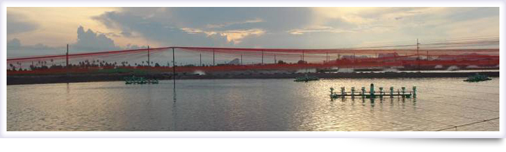 Banneraboutus